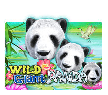 บทสรุปเกม Wild Giant Panda 