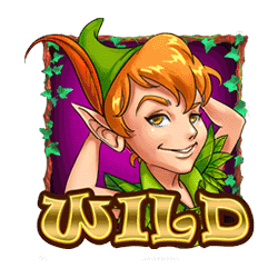 สัญลักษณ์ wild เกม Pan fairy