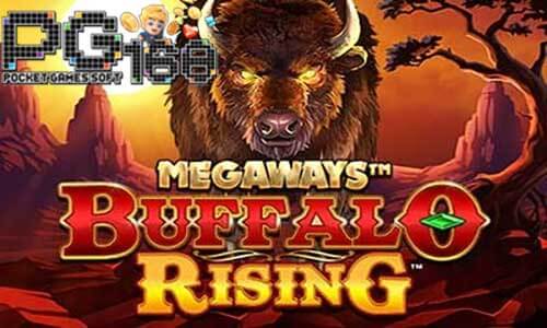 ทดลองเล่นสล็อต Buffalo Rising Megaways-เกมสล็อตควายทอง-pg168